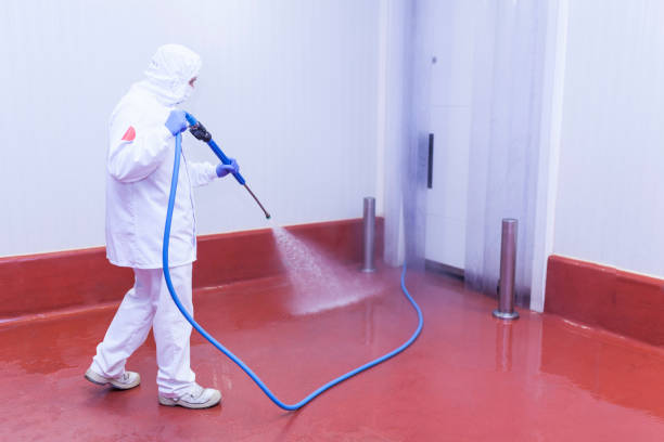 Paint Preparation in Riverside, CA